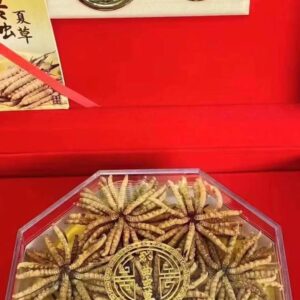 冬蟲夏草 100克裝