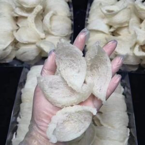 特級5A白燕盞一斤裝